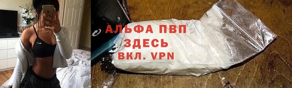 эйфоретик Арсеньев