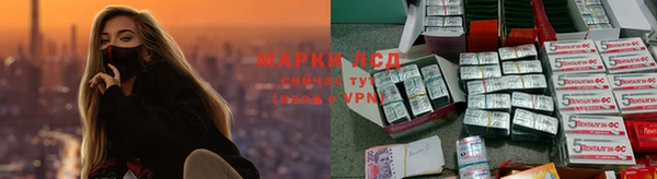 гидропоника Армянск