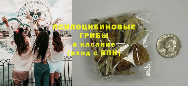 эйфоретик Арсеньев