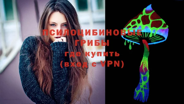 соль ск Аркадак