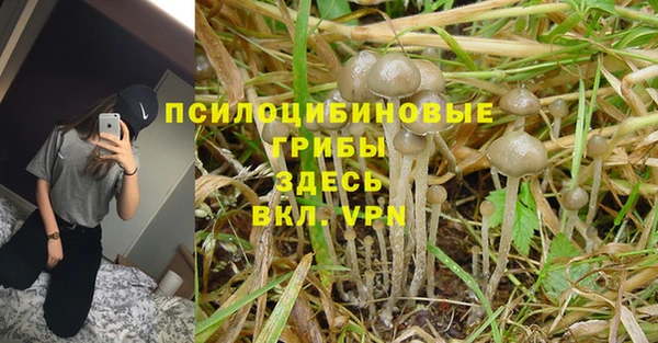 бутират Алексеевка