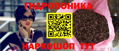 гидра Бийск