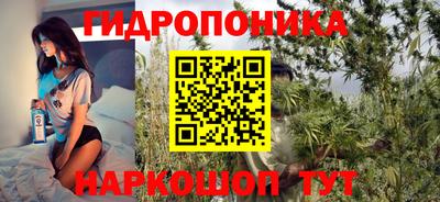 гидра Бийск