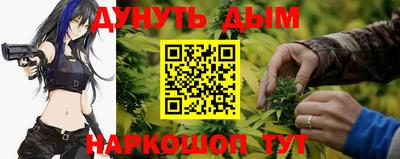гидра Бийск